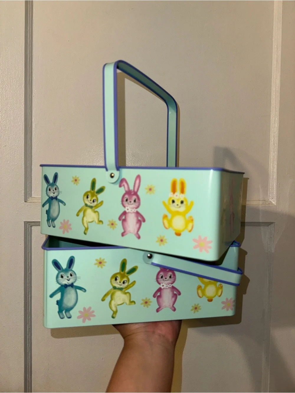 Spritz Easter Bunny Container Baskets